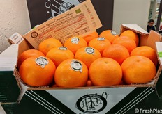 In mostra anche le arance dell'Azienda Agricola Campobasso Marco.