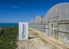 Ingresso della serra presso Tecnovivai a Scoglitti (RG), a due passi dal mare, sede dell’open day.