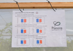 Dati produttivi per il PTI 5001.