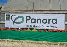 Panora ha organizzato una mostra pomologica con le varietà che sviluppa nei centri di ricerca.