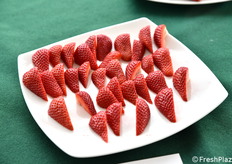 La selezione "E" pronta per la prova di assaggio.