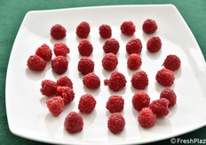 La varietà di lamponi NSG L5, anch'essa pronta per la prova di assaggio.