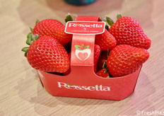 Dettaglio di una delle fragole protagoniste dell'assortimento varietale NSG.