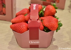 Nuova varietà di fragola NSG 48-Elyson, apprezzata per la sua precocità e per la polpa elastica e croccante.