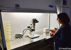 Strumentazione al servizio del laboratorio.