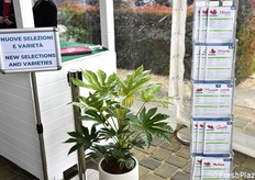 Nova Siri Genetics vanta 14 varietà di fragole brevettate a livello globale. In foto: un espositore con le schede varietali.