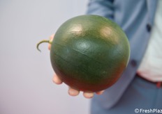 Una delle mini-mini angurie di known You Seed