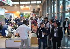 Tanta l'affluenza fin dal primo giorno