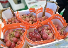 Separatore per uva in carta