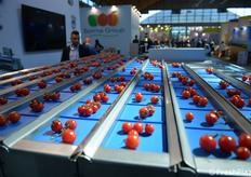 Tecnologie di selezione