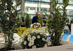 Proprio di fronte al LaserWeeder, i vasi di fiori rialzati hanno avuto la fortuna di non trovarsi sotto "il sistema di diserbo più preciso al mondo".