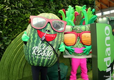 Vuoi una foto con un'anguria e un'insalata?