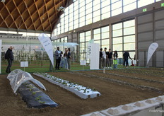 Colture all'interno del padiglione C1.