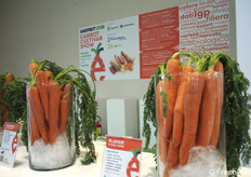 Carrot Cultivar Show: mostra varietale dedicata alla carota.