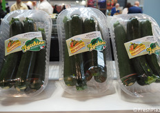 Zucchine dell'Agro Pontino.