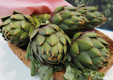 Il carciofo Spinoso sardo.