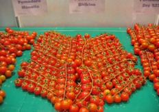Dettaglio dello stand De Ruiter Sementi. Il ciliegino Birikino è caratterizzato da un grappolo molto elegante, con frutti disposti a spina di pesce.