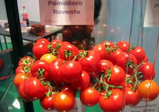 Dettaglio dello stand De Ruiter Sementi. Rovente è un ibrido con resistenza a un'ampia gamma di patologie, compresi i virus della bronzatura del pomodoro, Nematodi e Fusarioum radicis.