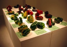 Dettaglio Mostra Pomologica. Peperoni.