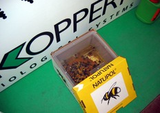 Dettaglio dello stand Koppert. Bombi per impollinazione.