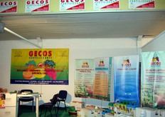 Stand Gecos
