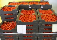 Un dettaglio dei pomodorini pronti per la spedizione.