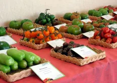 Dettaglio della mostra pomologica sulle varietà di pomodoro