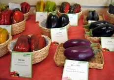 Dettaglio della mostra pomologica sulle varietà di melanzane e peperoni