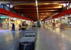 Vista dell'area coperta sulla quale si affacciano i vari stand dei grossisti e nella quale si effettuano anche le operazioni di movimentazione delle merci da consegnare.