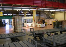 I carrelli viaggiano nella zona a pavimentazione grigia, mentre la zona a pavimentazione rossa è destinata all'esposizione della merce.