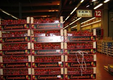 Pallet di pomodori a grappolo. Sullo sfondo, l'insegna del grossista CAMT, specializzato in arance, clementine, limoni, mandarini, pesche, finocchi, pomodori, prodotti campani, frutta locale.