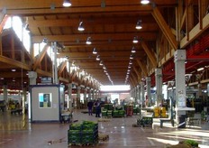 In quest'area, i produttori possono affittare uno spazio per esporre quanto raccolto sui campi. Anche un piccolo coltivatore può accedere a questa struttura, pagando un affitto anche solo per 1 metro quadrato e per un solo giorno. Attualmente quest'area è utilizzata da circa 200 produttori agricoli locali, per un giro d'affari di 100 milioni di euro. Duccio Caccioni ci spiega che i prodotti venduti qui sono costituiti per il 95% da orticole.