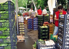 Dettaglio dello stand organizzato dal CAAB nei Giardini Margherita a Bologna.