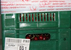 FreshPlaza si è recata in visita presso l'azienda Bragantini Marco & figli di Verona. L'azienda è certificata EurepGAP ed è specializzata nella produzione e confezionamento di ciliegie e mele, per un volume di 10.000 tonnellate.