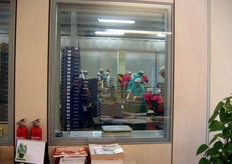 Dagli uffici è possibile gettare un'occhiata alle linee di confezionamento.