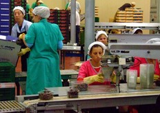 Un'altra delle cinque linee di confezionamento.