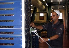 Le casse vengono saldamente legate in pallet.