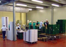 Un'altra linea di confezionamento.