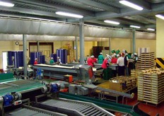 Una visione d'insieme della sala di confezionamento.