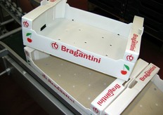 "L'ultima nata nella famiglia di cassette dell'azienda Bragantini. "Queste cassette contengono 5 kg di prodotto - spiega Danila - Prima le facevamo in legno, queste invece sono in poliuretano."
