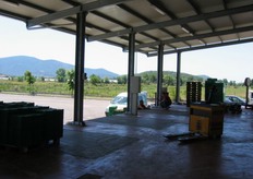 Dietro l'area di confezionamento si trovano sei rampe di carico per il trasporto della merce. Il Consorzio è dotato anche di mezzi propri per effettuare il trasporto verso i centri di commercializzazione.