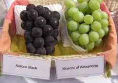 Esclusive uve giapponesi dal costo elevatissimo: 13 dollari per 500 grammi! La varietà nera è molto dolce e sa di prugna. Però che prezzi!!!