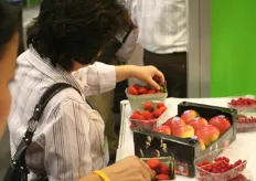 Eccezionale è stato l'interesse dimostrato dagli asiatici per le fragole. La cosa deriva dal fatto che gli asiatici non conoscono questi frutti e dal fatto che il rosso è per loro il colore della fortuna e dell'amore.