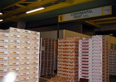 Stand 6 (Continental Fruit).