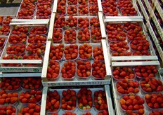 Dettaglio stand Leonardi.