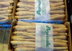 "Dettaglio dello stand Pighi Vittorio. Radici amare di Suncino. "Si consumano lessate, da sole o accompagnate al cavolo verza", spiega Giuseppe Pighi."