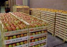 Assortimento di frutta presso lo stand Tre S Frut.