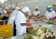 Gli addetti osservano scrupolosamente le principali regole igieniche.