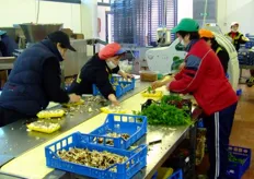 Le operatrici di questo bancone sono intente nel preparare uno dei prodotti dell'Azienda Gentili Maria più richiesti dal mercato: la vaschetta di funghi tagliati trifolati.