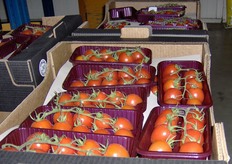 Confezioni di pomodoro ciliegino.